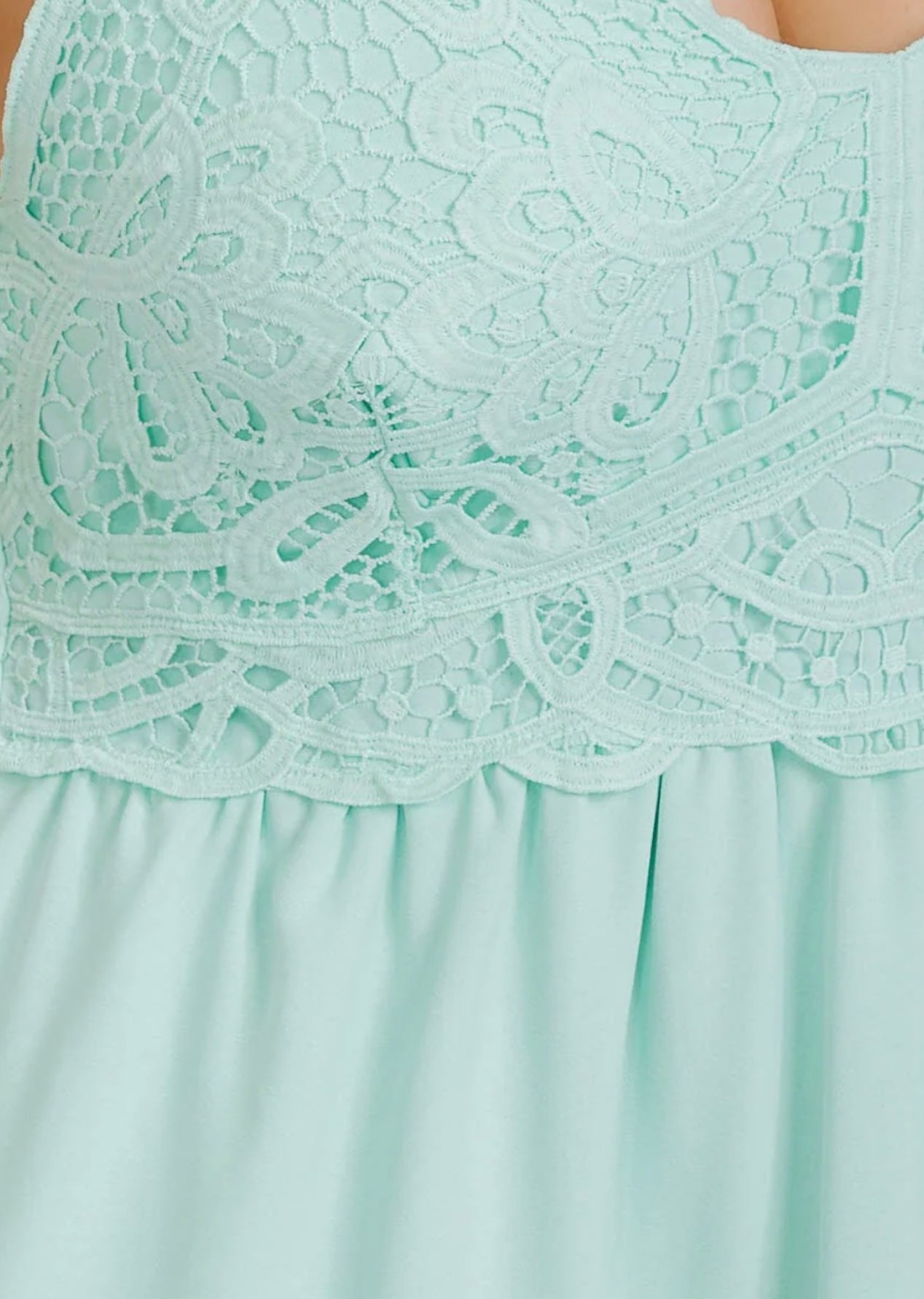 Plus Mint Fit & Flare Lace Dress