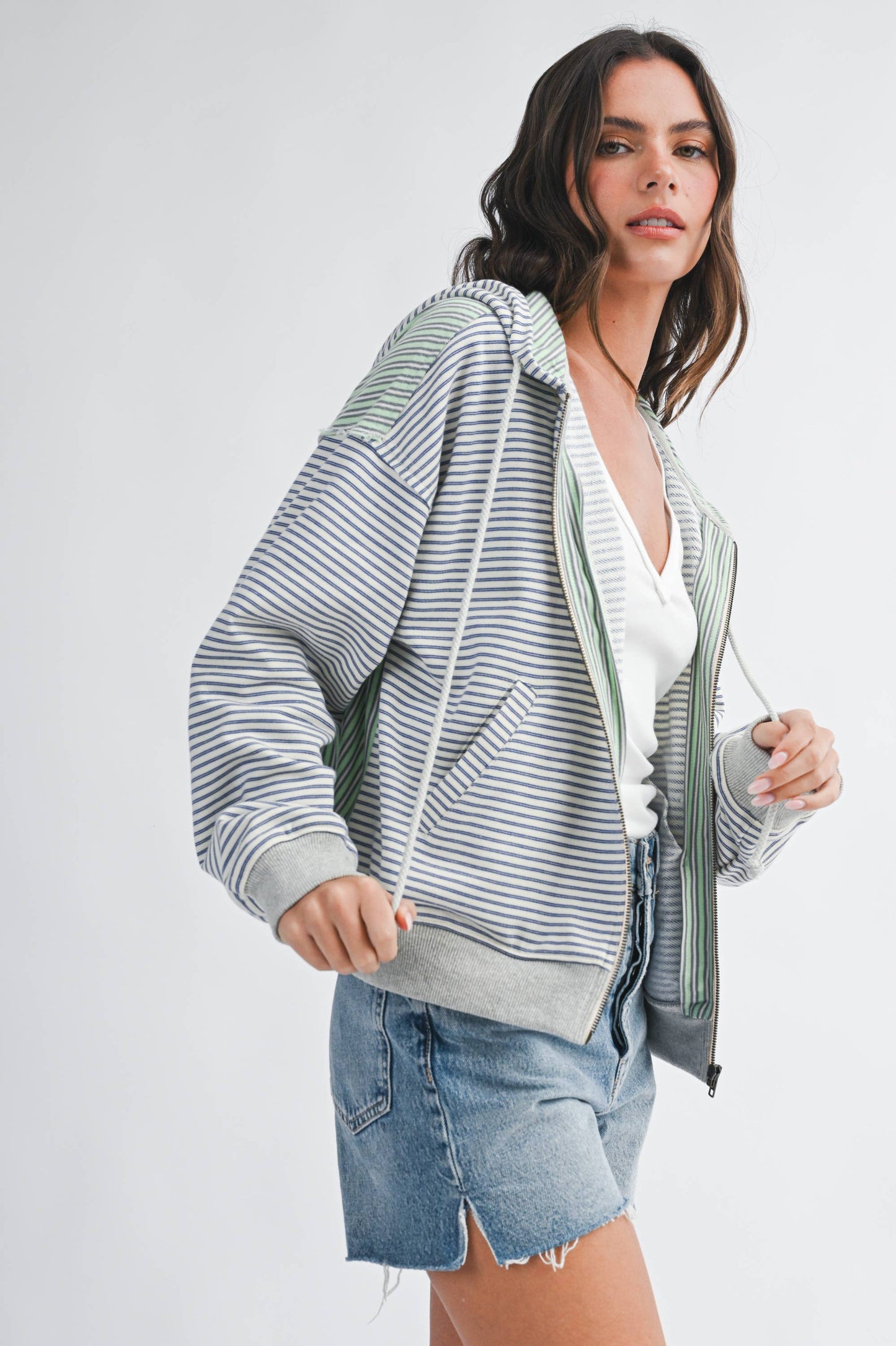 Salt Air Stripe Zip Hoodie