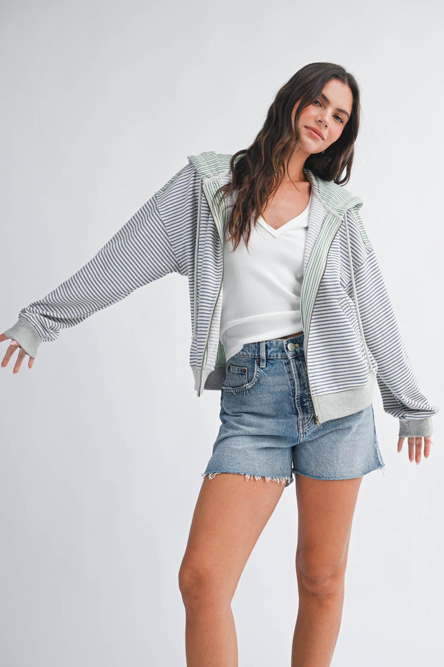 Salt Air Stripe Zip Hoodie