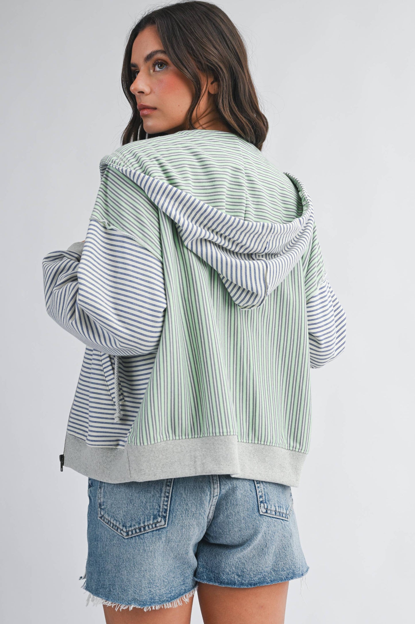 Salt Air Stripe Zip Hoodie