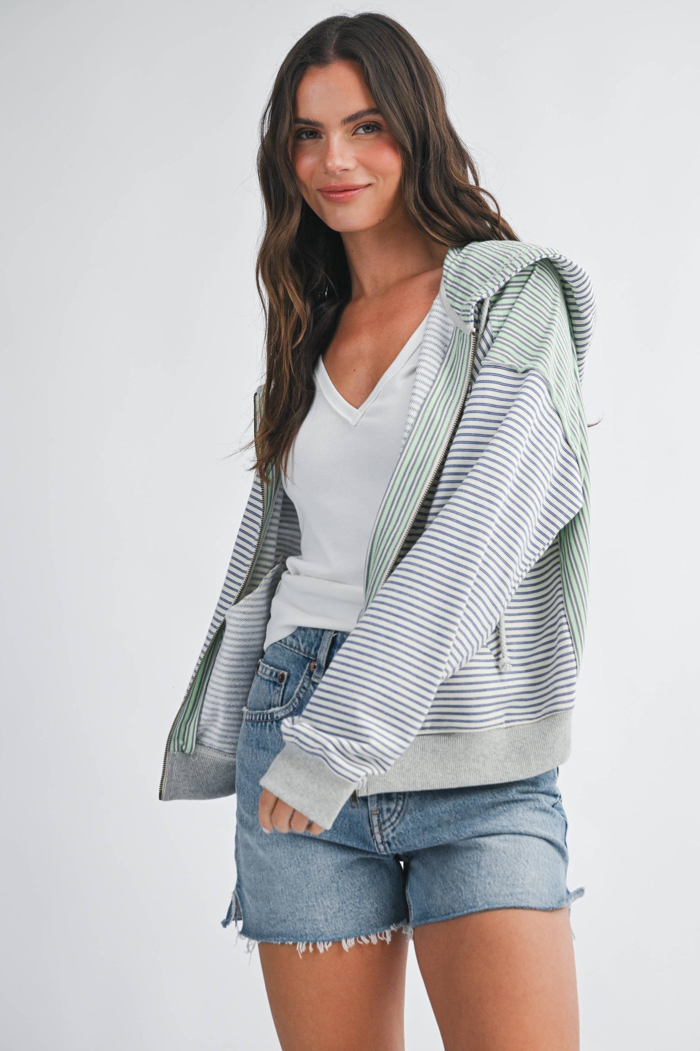 Salt Air Stripe Zip Hoodie