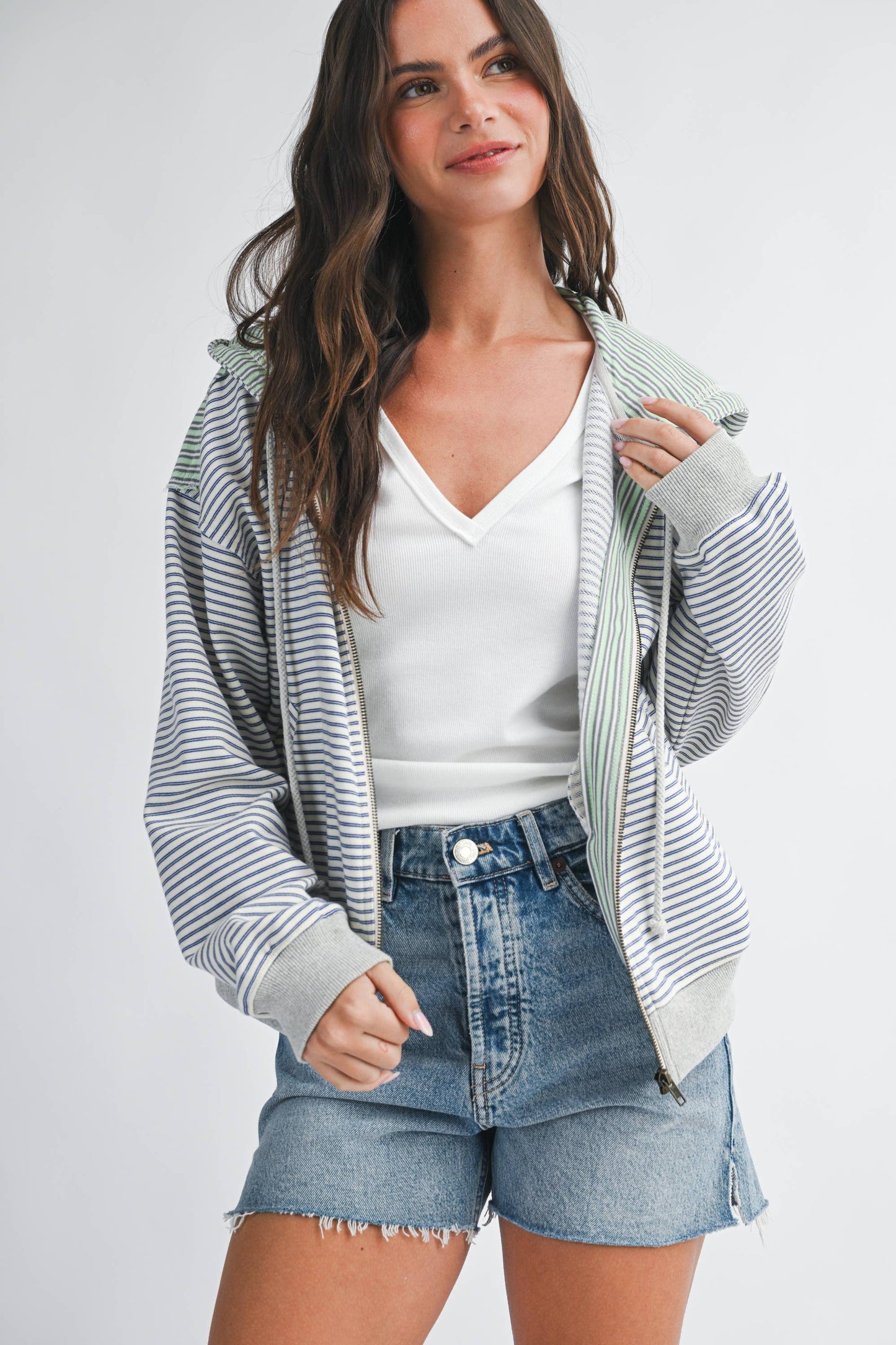 Salt Air Stripe Zip Hoodie
