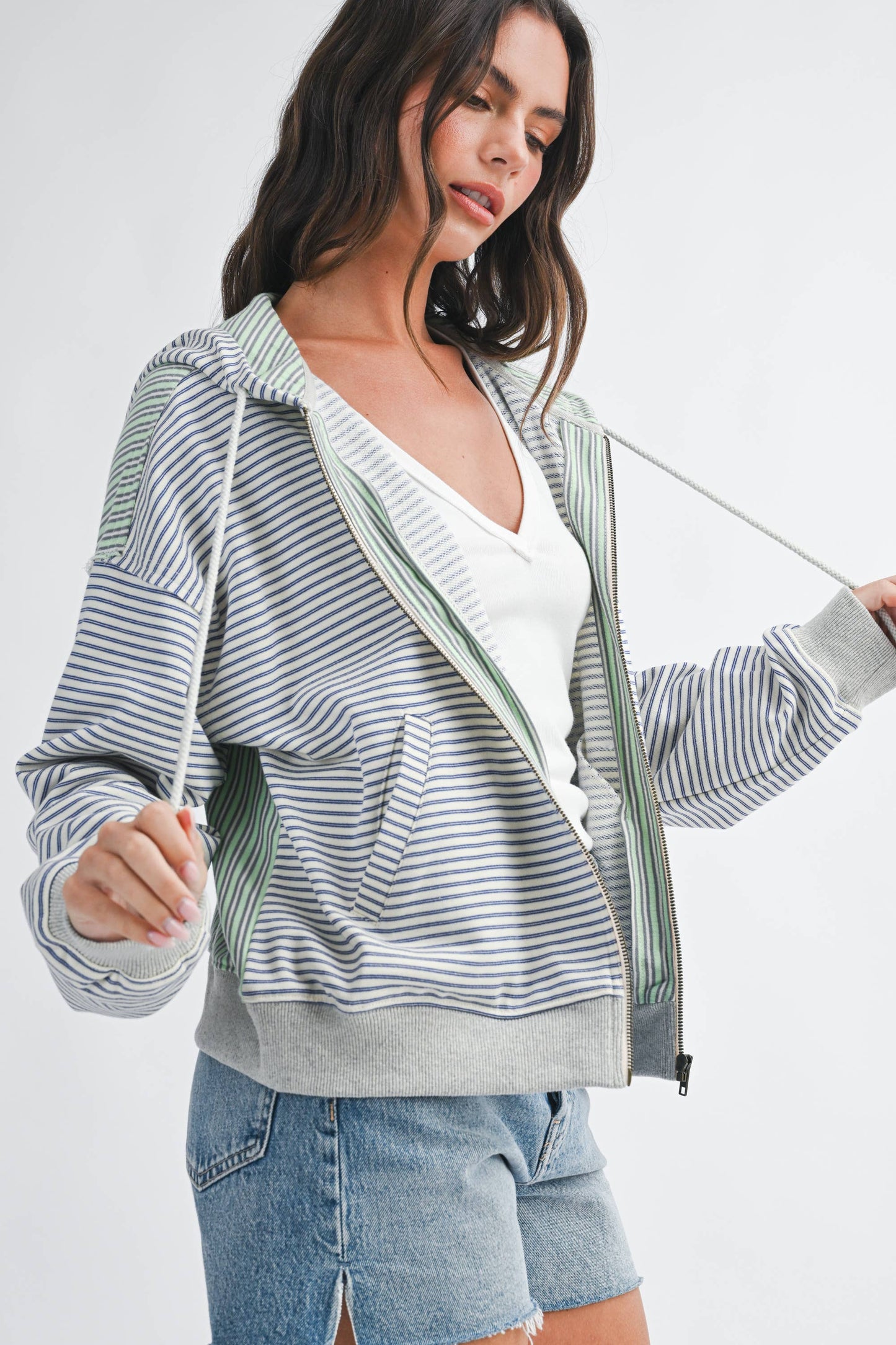 Salt Air Stripe Zip Hoodie