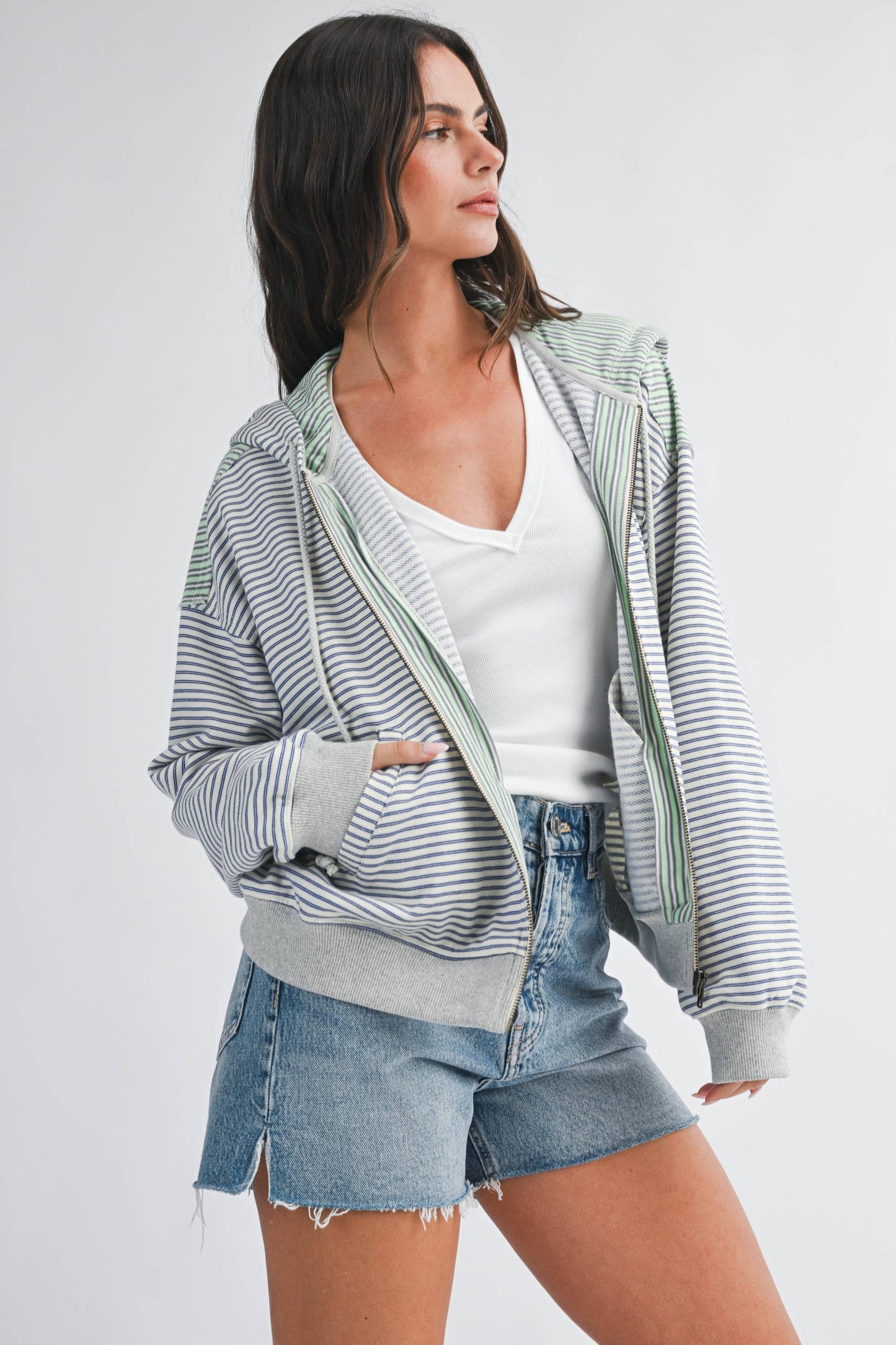 Salt Air Stripe Zip Hoodie