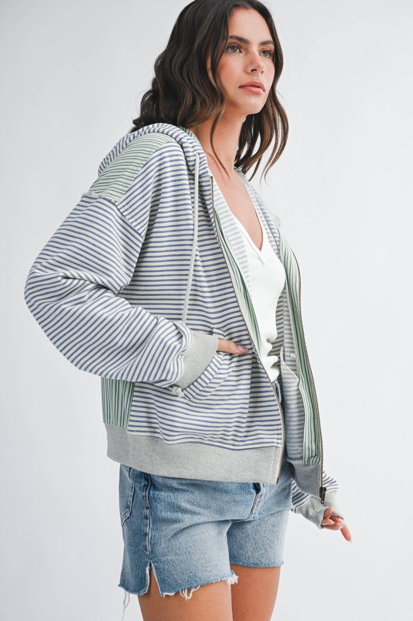 Salt Air Stripe Zip Hoodie