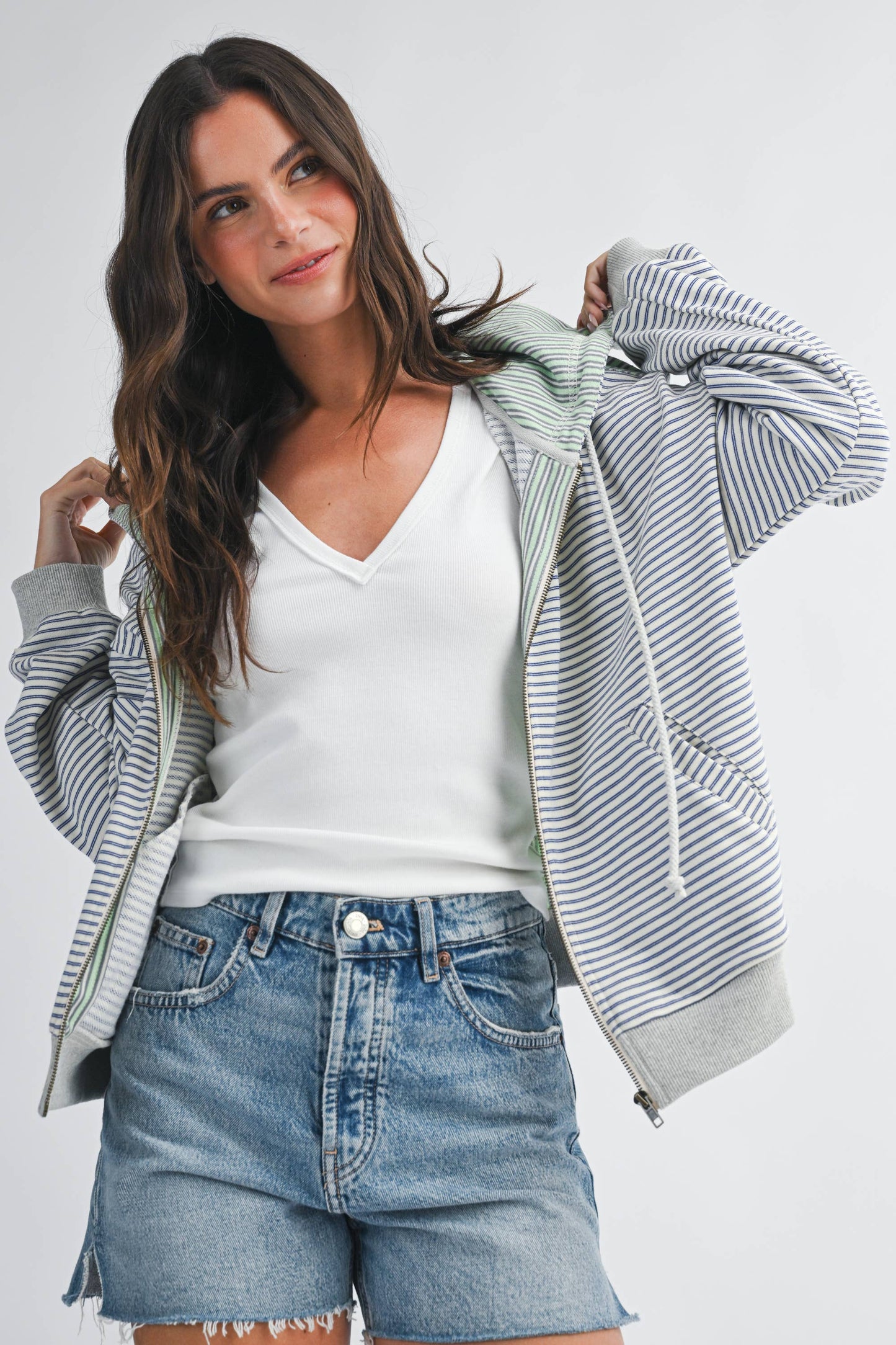 Salt Air Stripe Zip Hoodie